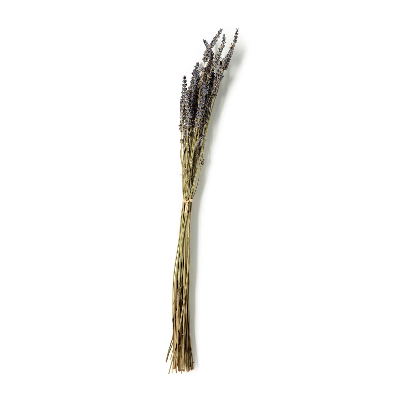Lavender Grass Bundle by Ashland&#xAE;